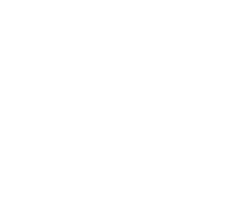 Serendip Systems